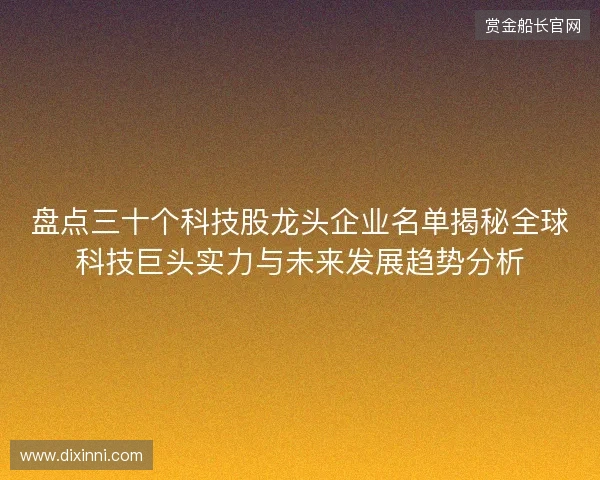 盘点三十个科技股龙头企业名单揭秘全球科技巨头实力与未来发展趋势分析